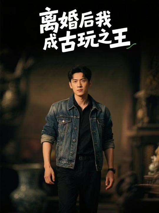 离婚后我成古玩之王封面