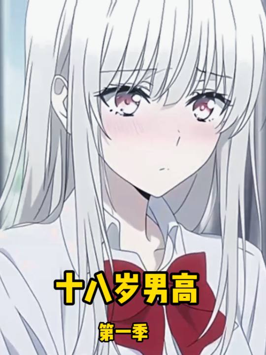 十八岁男高第一季封面