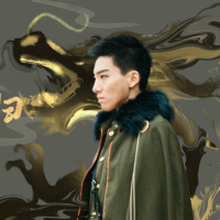 战龙回归封面