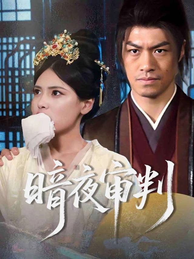 暗夜审判封面