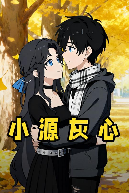 小源灰心封面