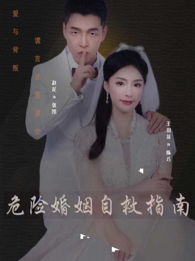 危险婚姻自救指南封面