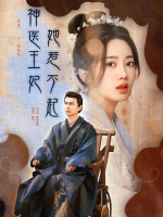 神医王妃她惹不起封面