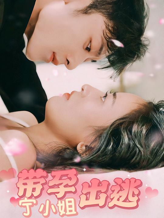 宁小姐带孕出逃封面