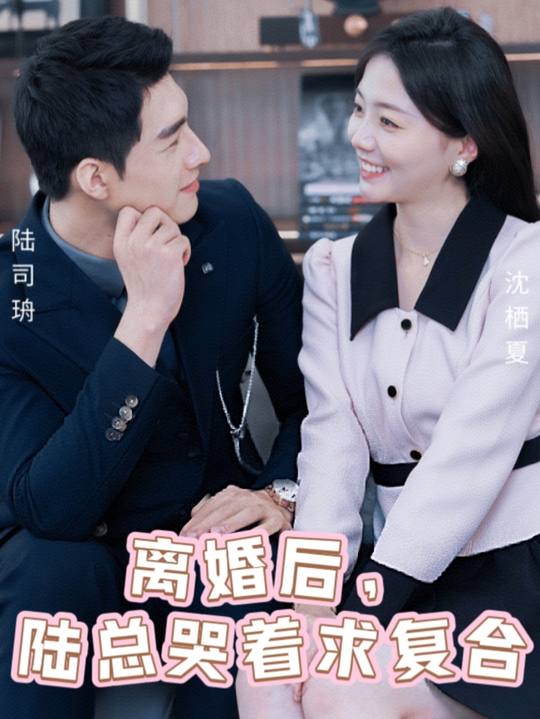 离婚后,陆总哭着求复合封面