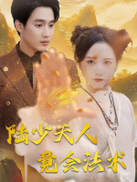 陆少夫人竟会法术封面