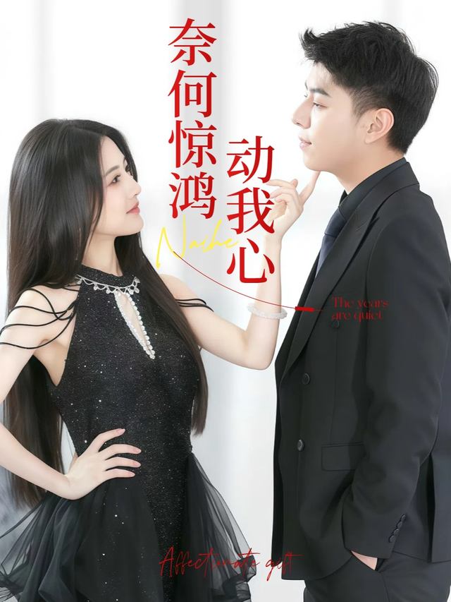 奈何惊鸿动我心封面
