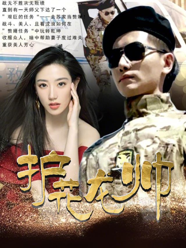 护花龙帅封面