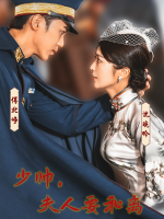 少帅,夫人要和离封面