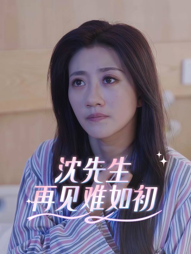 沈先生,再见难如初封面
