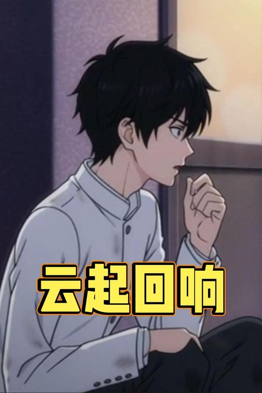 云起回响封面