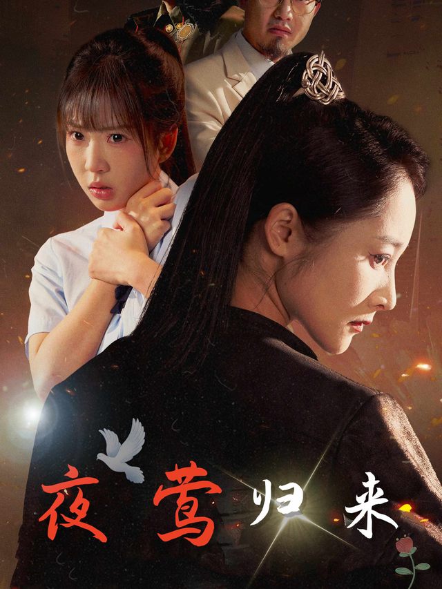 夜莺归来封面