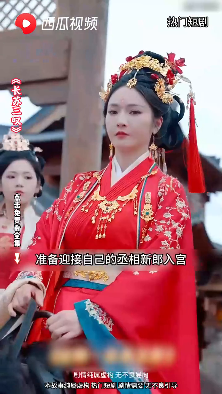 长苏三叹封面