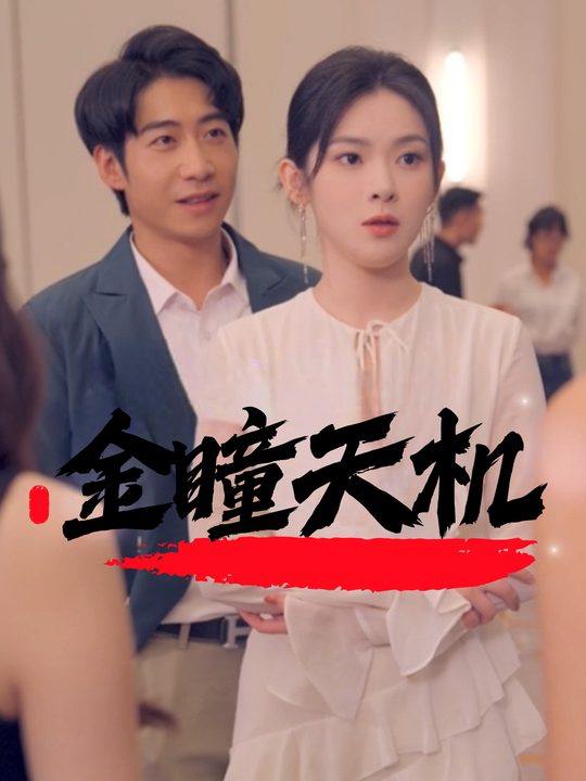 金瞳天机封面