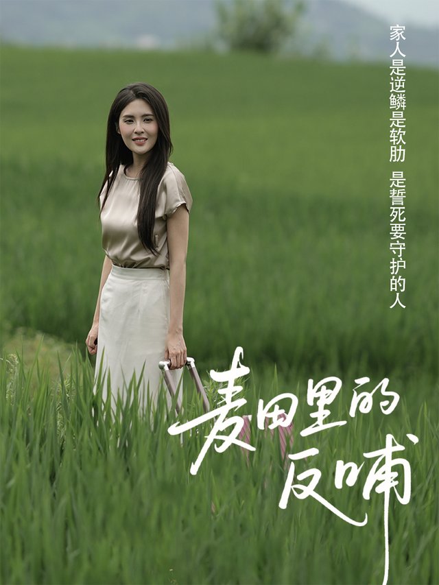麦田里的反哺封面