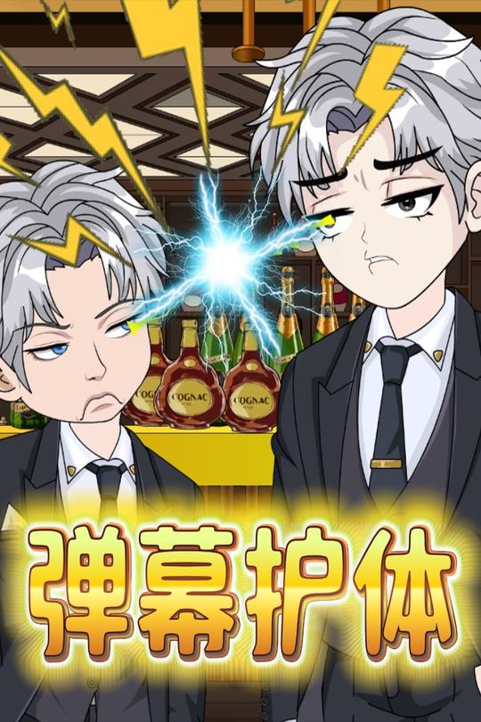 弹幕护体封面