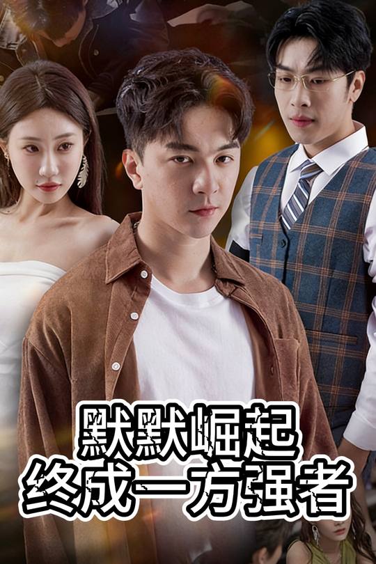 默默崛起终成一方强者封面