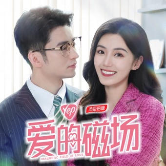 爱的磁场封面