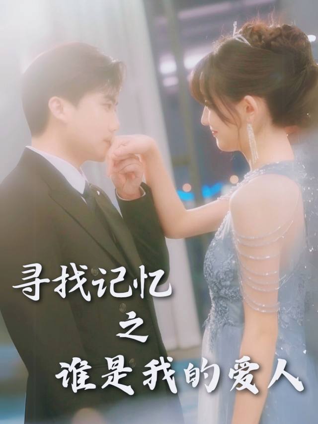寻找记忆之谁是我的爱人封面