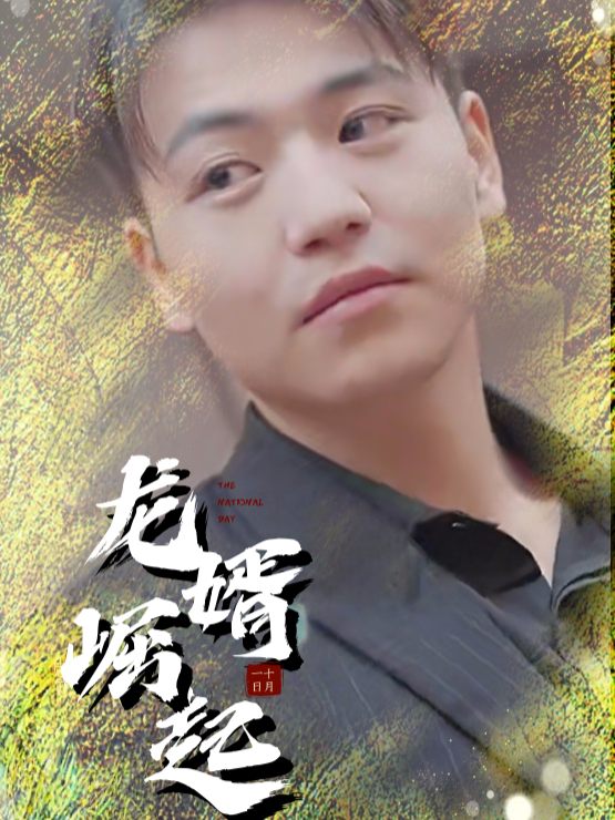 龙婿崛起封面