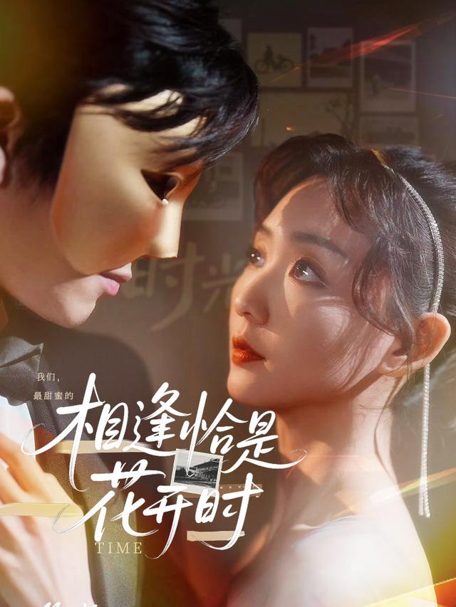 相逢恰是花开时封面