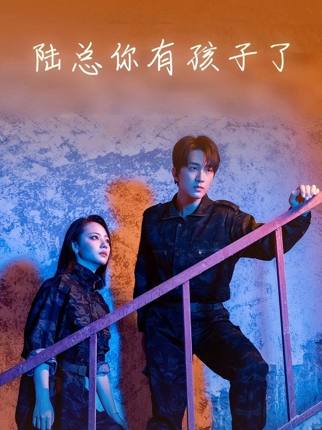 陆总你有孩子了封面