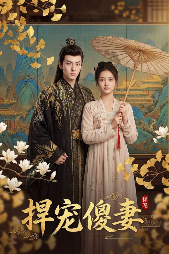 悍宠傻妻封面