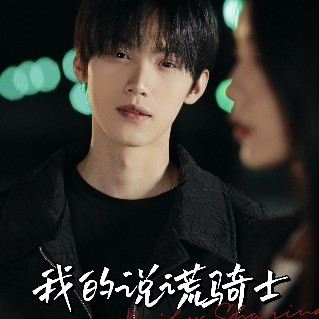 我的说谎骑士封面