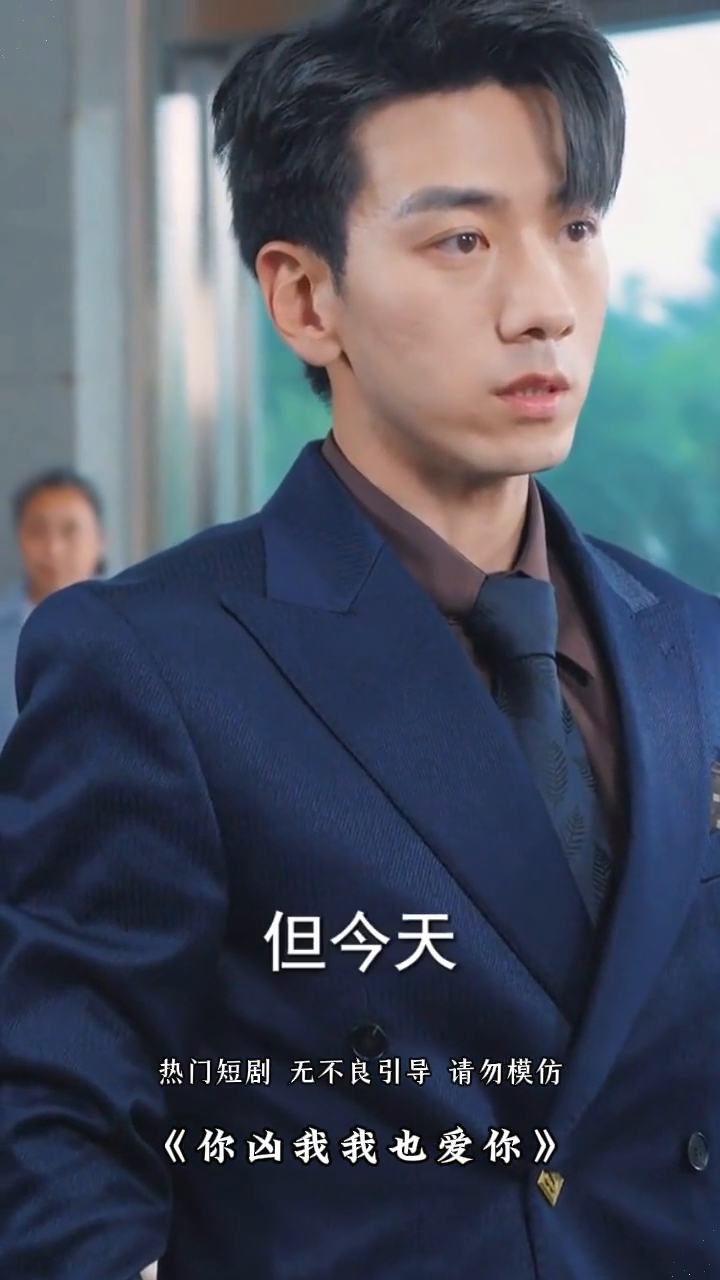 你凶我我也爱你封面