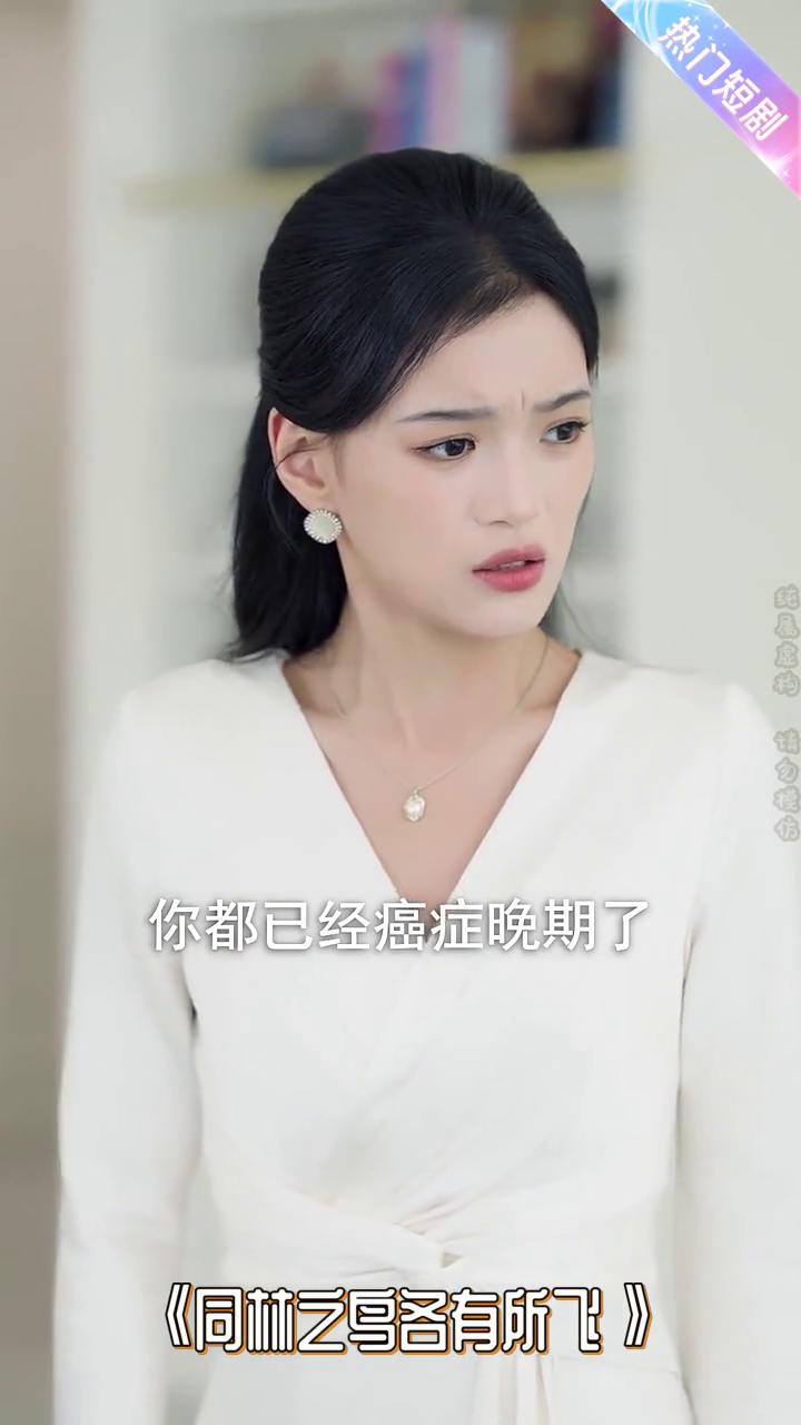 同林之鸟各有所飞封面