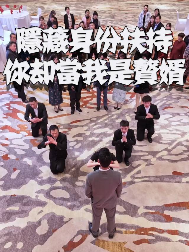 隐藏身份扶持你却当我是赘婿封面