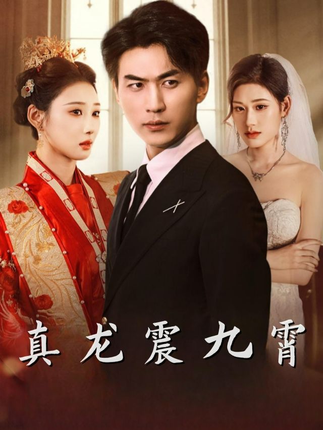 真龙震九霄封面