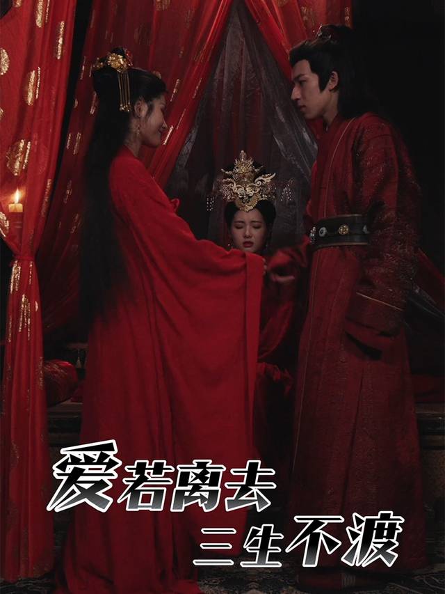 爱若离去,三生不渡封面