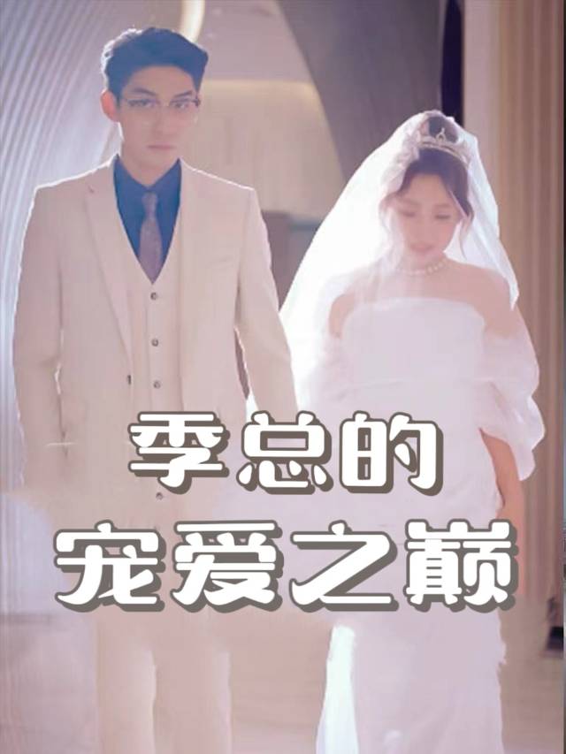 季总的宠爱之巅封面