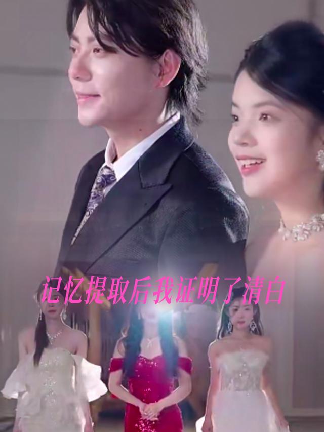 记忆提取后我证明了清白封面