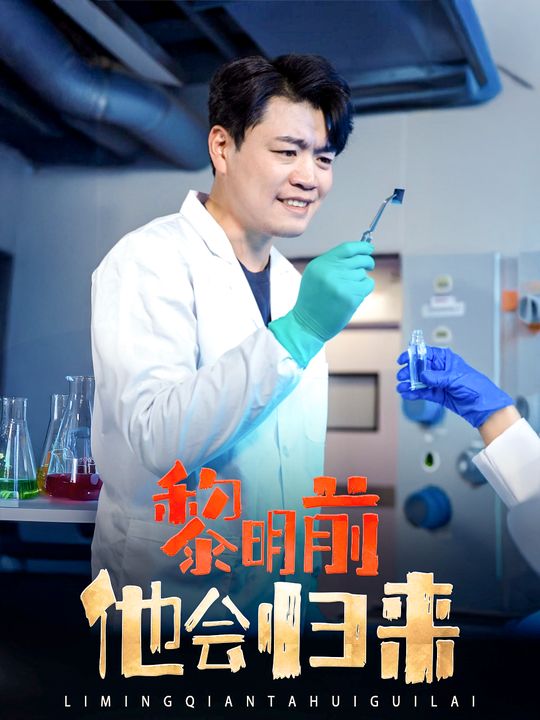 黎明前他会归来封面