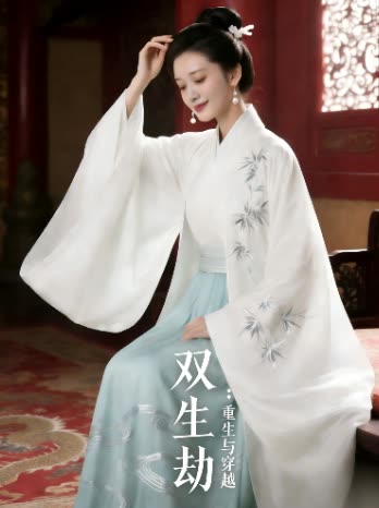 双生劫:重生与穿越封面