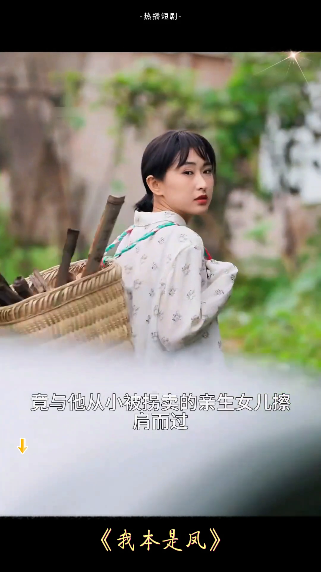 我本是凤封面