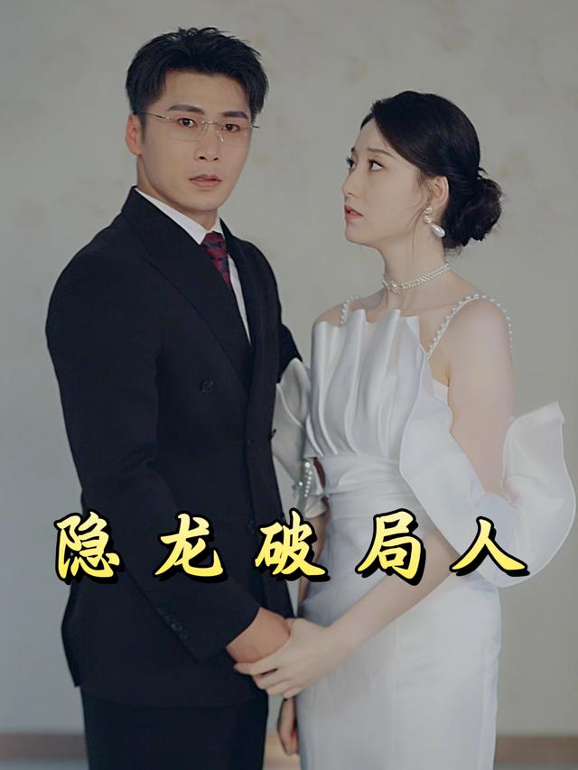 隐龙破局人封面