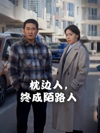 枕边人,终成陌路人封面