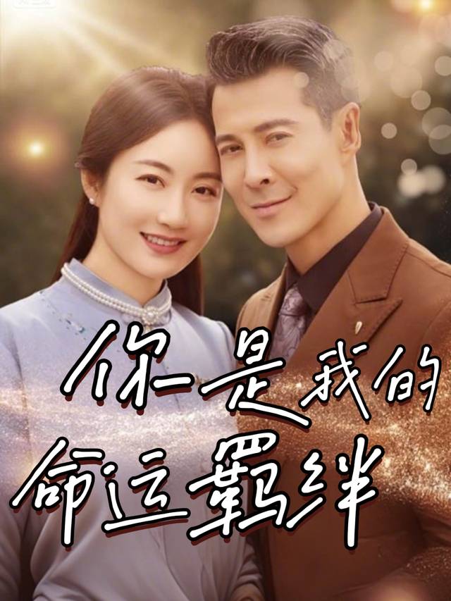 你是我的命运羁绊封面
