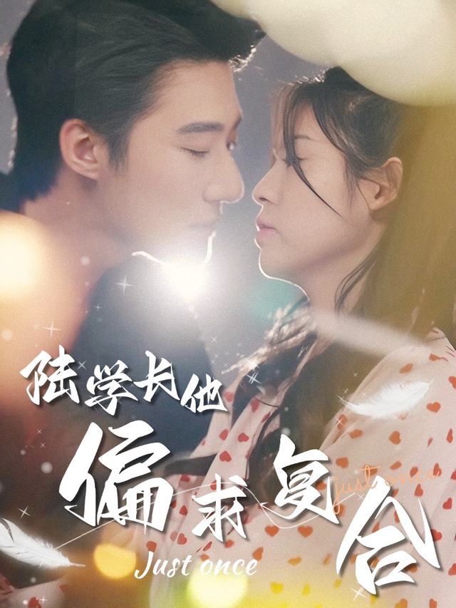 陆学长他偏求复合封面