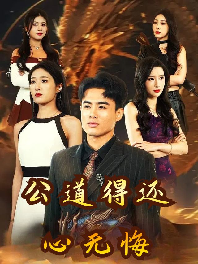 公道得还心无悔封面