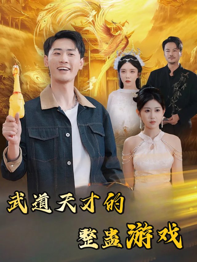 武道天才的整蛊游戏封面