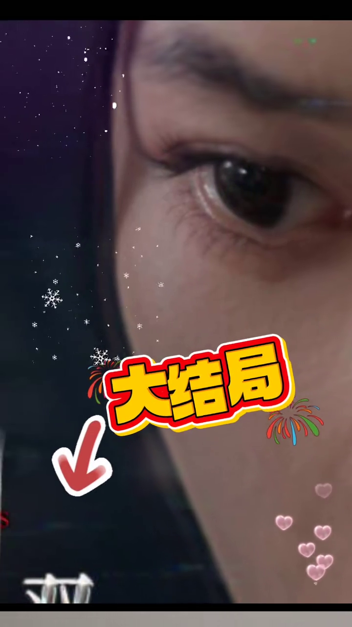 双面姐妹正义的救赎封面