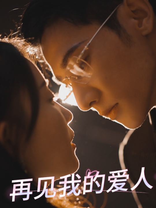 再见我的爱人封面