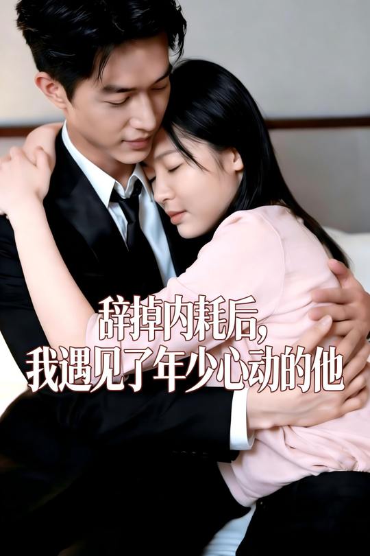 辞掉内耗后,我遇见了年少心动的他封面