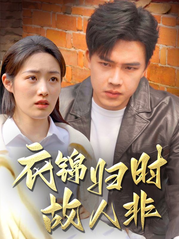 衣锦归时故人非封面