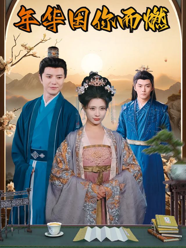 年华因你而燃封面