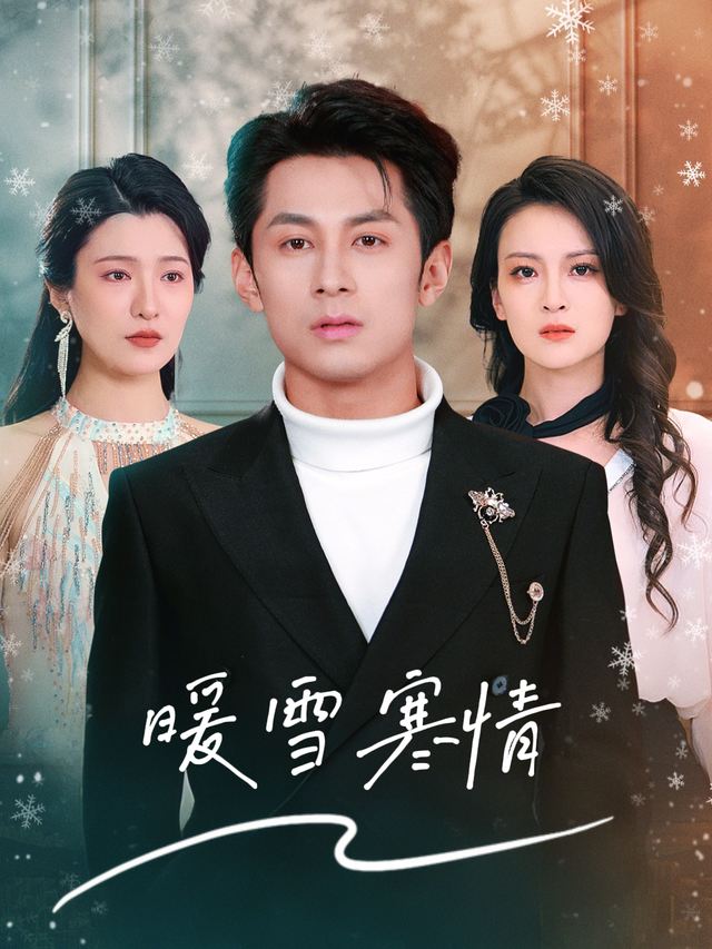 暖雪寒情封面